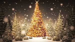 christmas_trees.jpg (Christmas Trees)